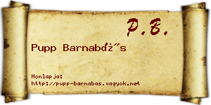 Pupp Barnabás névjegykártya