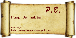 Pupp Barnabás névjegykártya