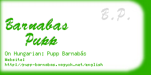 barnabas pupp business card