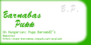 barnabas pupp business card